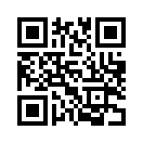 QR CODE 501