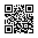 QR CODE 53