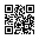 QR CODE 813