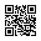 QR CODE 913