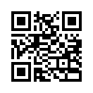 QR CODE 133