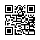 QR CODE 133