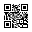 QR CODE 171