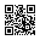 QR CODE 31