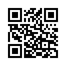 QR CODE 42