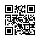 QR CODE 110