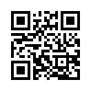 QR CODE 31