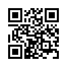 QR CODE 110