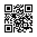 QR CODE 133