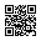 QR CODE 228