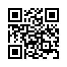 QR CODE 317