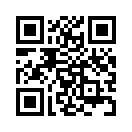 QR CODE 329
