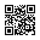 QR CODE 42