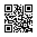 QR CODE 31
