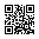QR CODE 42
