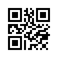 QR CODE 110