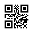 QR CODE 133