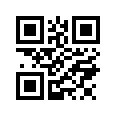 QR CODE 31