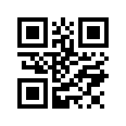 QR CODE 53