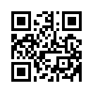 QR CODE 65