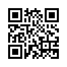 QR CODE 110