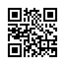 QR CODE 329