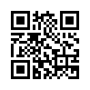 QR CODE 388