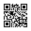 QR CODE 501