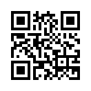 QR CODE 538