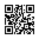 QR CODE 587