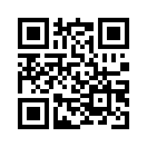QR CODE 31