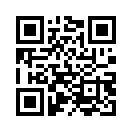 QR CODE 317