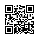 QR CODE 336