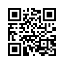 QR CODE 344