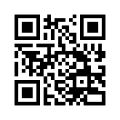 QR CODE 133