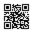 QR CODE 46