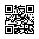QR CODE 53