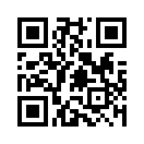 QR CODE 110