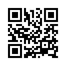 QR CODE 113