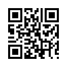 QR CODE 133