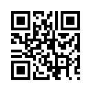 QR CODE 233