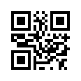 QR CODE 31