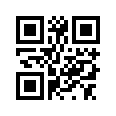 QR CODE 53