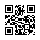 QR CODE 528
