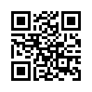 QR CODE 133