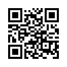 QR CODE 31