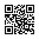 QR CODE 317