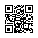 QR CODE 336