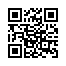 QR CODE 344