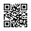 QR CODE 42